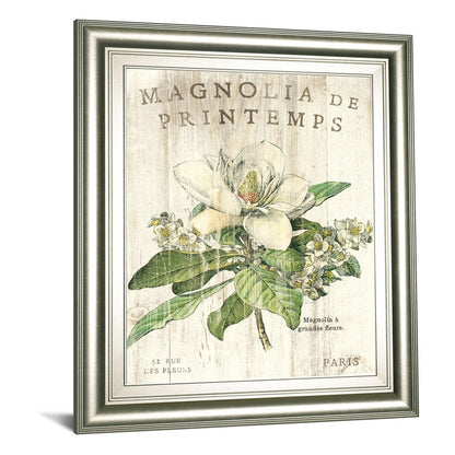 Classy Living Spring Magnolia 22x26in Wall Art | Contemporary Silver Serenity MDF Frame | Living Room & Bedroom Botanical Decor | 22 x 26 x | Model 8108B