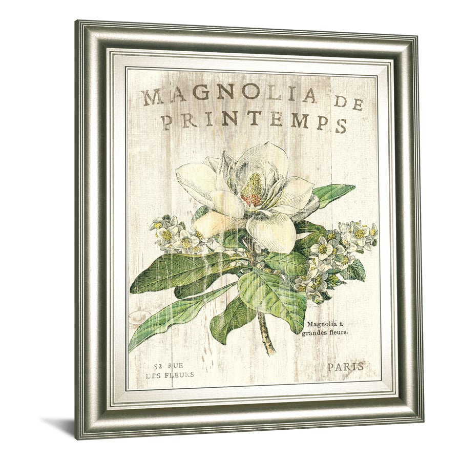 Classy Living Spring Magnolia 22x26in Wall Art | Contemporary Silver Serenity MDF Frame | Living Room & Bedroom Botanical Decor | 22 x 26 x | Model 8108B