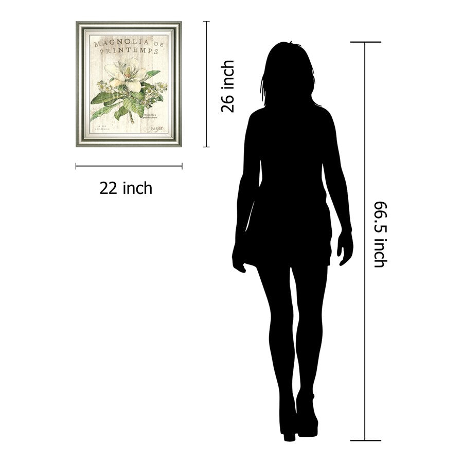 Classy Living Spring Magnolia 22x26in Wall Art | Contemporary Silver Serenity MDF Frame | Living Room & Bedroom Botanical Decor | 22 x 26 x | Model 8108B