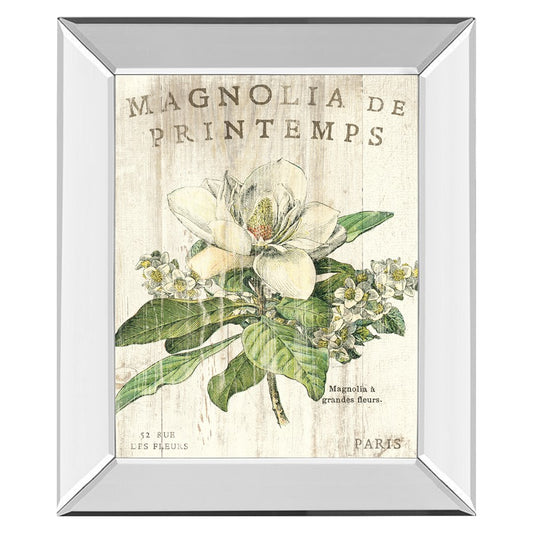 Classy Living Spring Magnolia 22x26in Wall Art | Contemporary Mirrored Frame with Real Glass | Living Room & Bedroom Botanical Decor | 22 x | Model 8108MF