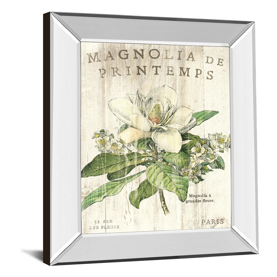 Classy Living Spring Magnolia 22x26in Wall Art | Contemporary Mirrored Frame with Real Glass | Living Room & Bedroom Botanical Decor | 22 x | Model 8108MF