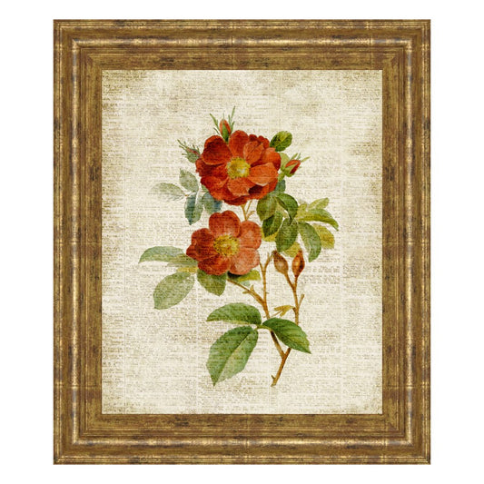 Classy Living Vintage Roses Wall Art 22x26in | Transitional Gilded Radiance MDF Frame | Living Room & Bedroom Botanical Decor | 22 x 26 x 1 in | Model 8147