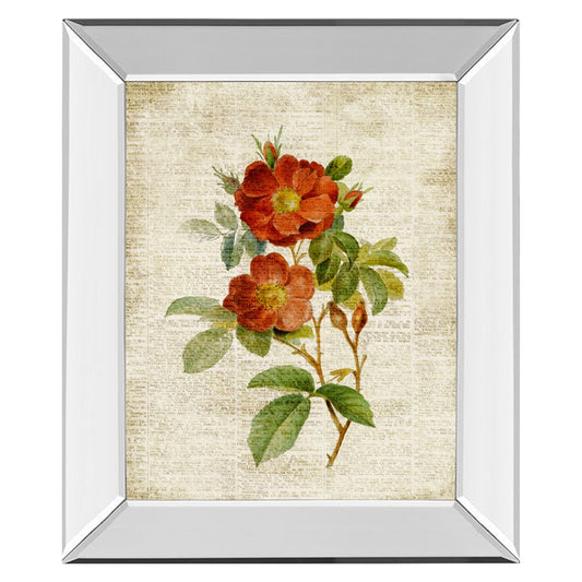 Classy Living Vintage Roses Wall Art 22x26in | Transitional Mirrored Frame | Living Room & Bedroom Decor | 22 x 26 x 3 in | Model 8147MF