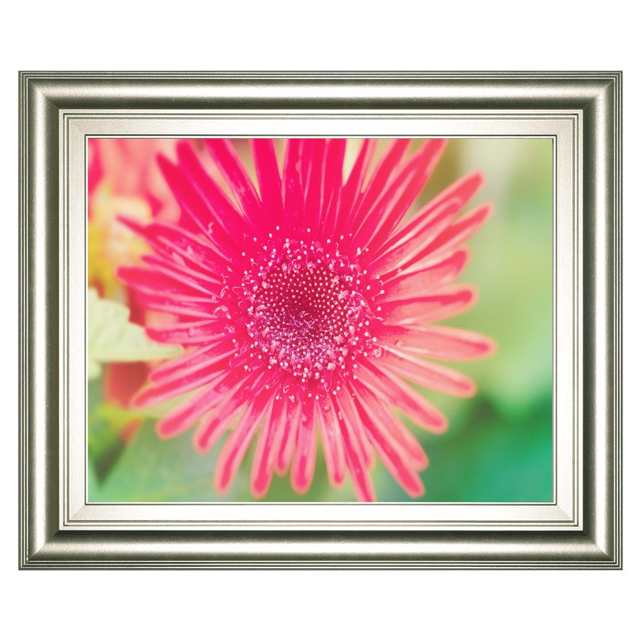 Classy Living Pink Bloom Wall Art 26x22in | Contemporary Floral Graphic Art in Silver Serenity MDF Frame | Living Room & Bedroom Decor | 1 x | Model 8240