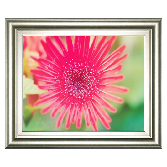 Classy Living Pink Bloom Wall Art 26x22in | Contemporary Floral Graphic Art in Silver Serenity MDF Frame | Living Room & Bedroom Decor | 1 x | Model 8240