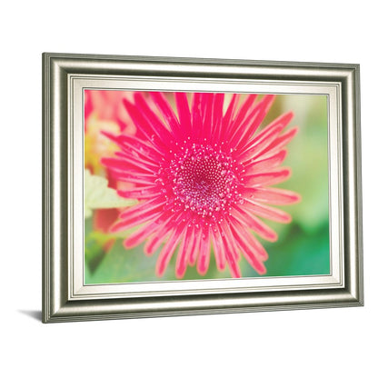 Classy Living Pink Bloom Wall Art 26x22in | Contemporary Floral Graphic Art in Silver Serenity MDF Frame | Living Room & Bedroom Decor | 1 x | Model 8240