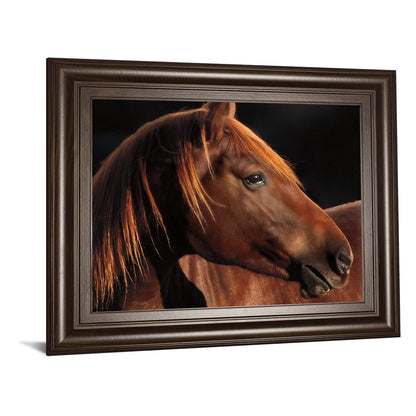 Classy Living Chestnut Majesty Wall Art 26x22in | Country Farmhouse Cinnamon Mocha MDF Frame | Living Room & Office Decor | 1 x 26 x 22 in | Model 8388