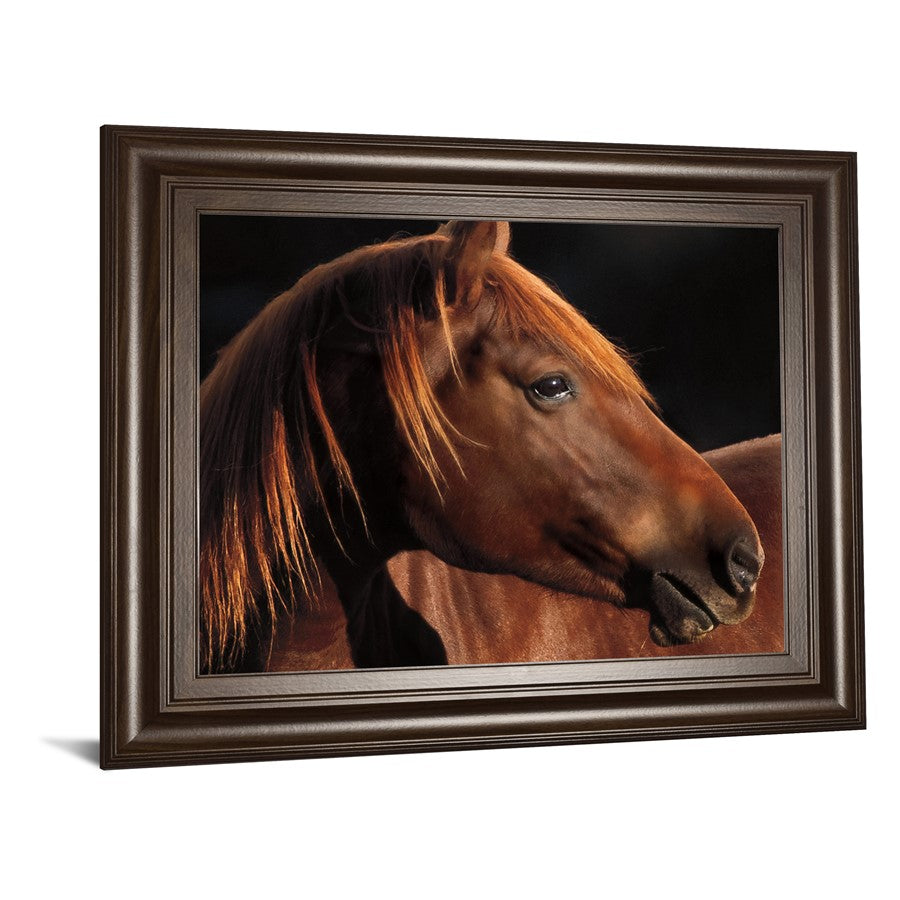 Classy Living Chestnut Majesty Wall Art 26x22in | Country Farmhouse Cinnamon Mocha MDF Frame | Living Room & Office Decor | 1 x 26 x 22 in | Model 8388