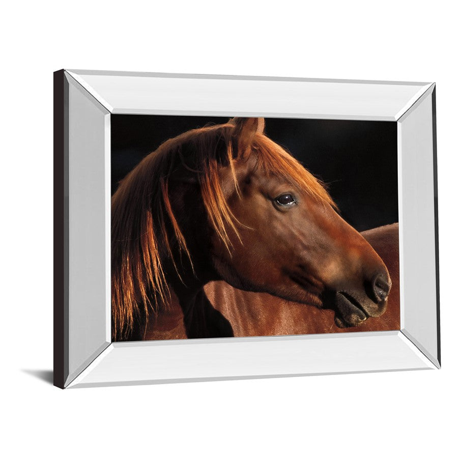 Classy Living Chestnut Majesty 26in Wall Art | Country Farmhouse Mirrored Frame | Living Room & Office Decor | 26 x 22 x 3 in | Model 8388MF