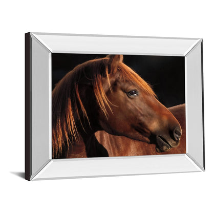 Classy Living Chestnut Majesty 26in Wall Art | Country Farmhouse Mirrored Frame | Living Room & Office Decor | 26 x 22 x 3 in | Model 8388MF