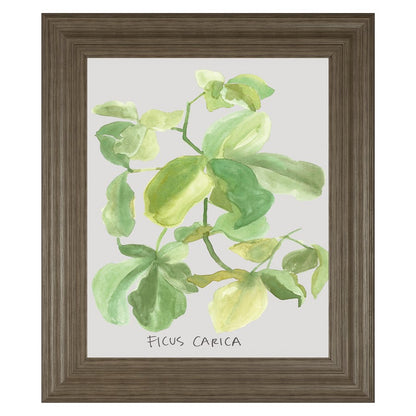 Classy Living Fig Leaf Harmony Wall Art 22x26in | Transitional Tranquil Ash MDF Frame | Living Room & Bedroom Botanical Decor | 1 x 22 x 26 in | Model 8461