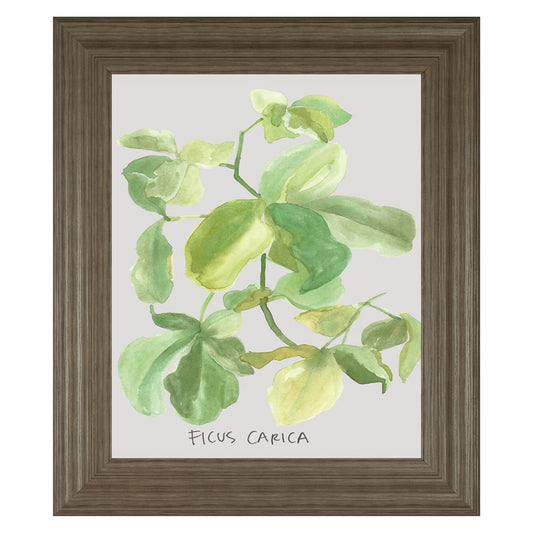 Classy Living Fig Leaf Harmony Wall Art 22x26in | Transitional Tranquil Ash MDF Frame | Living Room & Bedroom Botanical Decor | 1 x 22 x 26 in | Model 8461