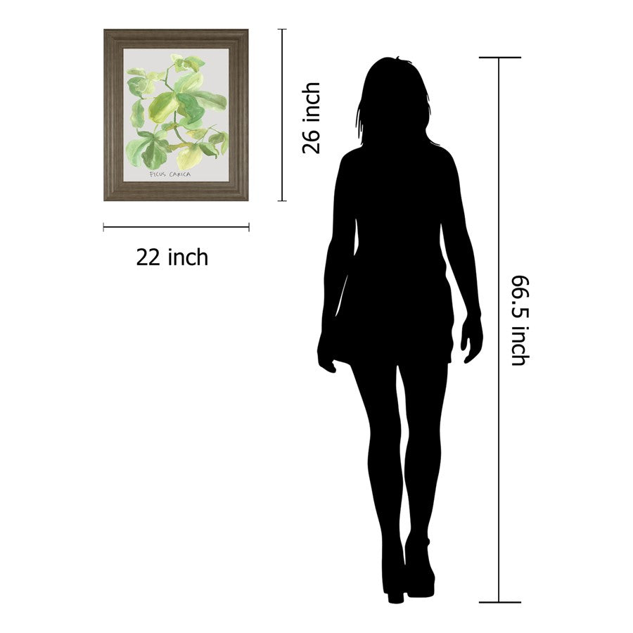 Classy Living Fig Leaf Harmony Wall Art 22x26in | Transitional Tranquil Ash MDF Frame | Living Room & Bedroom Botanical Decor | 1 x 22 x 26 in | Model 8461