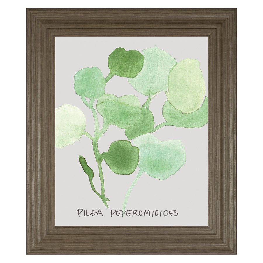 Classy Living Green Leaves Wall Art 22x26in | Transitional Paper Art in Tranquil Ash MDF Frame | Living Room & Bedroom Botanical Decor | 1 x | Model 8463