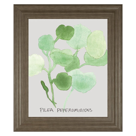 Classy Living Green Leaves Wall Art 22x26in | Transitional Paper Art in Tranquil Ash MDF Frame | Living Room & Bedroom Botanical Decor | 1 x | Model 8463