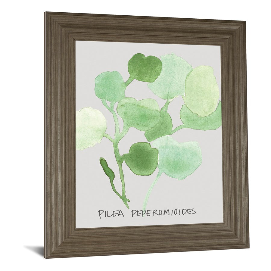 Classy Living Green Leaves Wall Art 22x26in | Transitional Paper Art in Tranquil Ash MDF Frame | Living Room & Bedroom Botanical Decor | 1 x | Model 8463