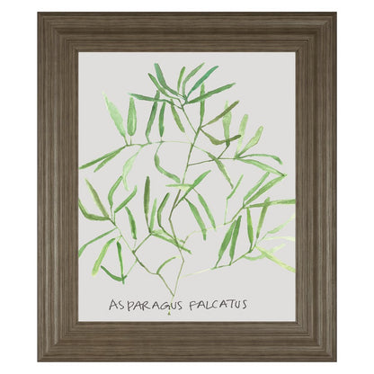 Classy Living Asparagus Falcatus Wall Art 22x26in | Transitional Tranquil Ash MDF Frame | Living Room & Office Decor | 22 x 26 x 1 in | Model 8464