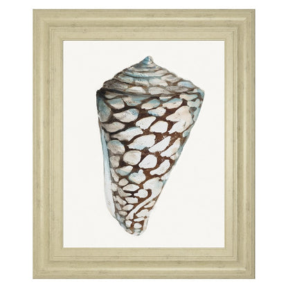 Classy Living Coastal Shell Wall Art 22x26in | Transitional Ivory MDF Frame with Paper Print | Living Room & Bedroom Decor | 1 x 22 x 26 in | Model 8489