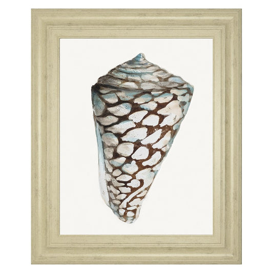 Classy Living Coastal Shell Wall Art 22x26in | Transitional Ivory MDF Frame with Paper Print | Living Room & Bedroom Decor | 1 x 22 x 26 in | Model 8489