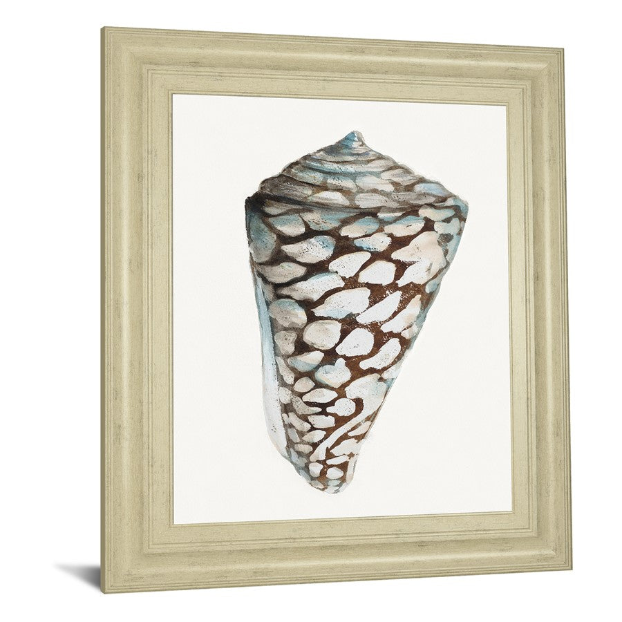 Classy Living Coastal Shell Wall Art 22x26in | Transitional Ivory MDF Frame with Paper Print | Living Room & Bedroom Decor | 1 x 22 x 26 in | Model 8489