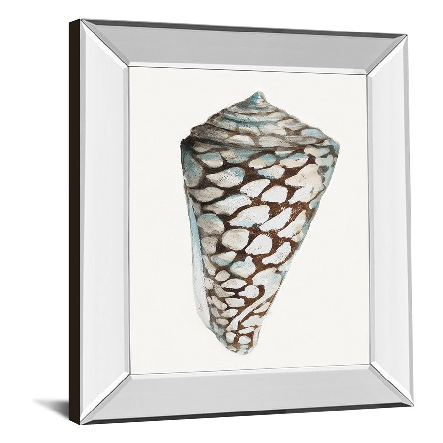 Classy Living Coastal Shell Wall Art 22x26in | Transitional Mirrored Frame | Living Room & Bedroom Decor | 22 x 26 x 3 in | Model 8489MF