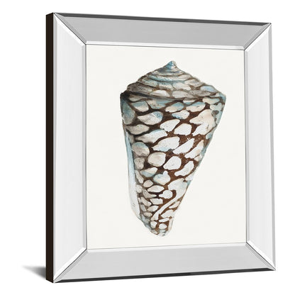 Classy Living Coastal Shell Wall Art 22x26in | Transitional Mirrored Frame | Living Room & Bedroom Decor | 22 x 26 x 3 in | Model 8489MF