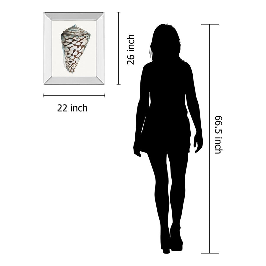 Classy Living Coastal Shell Wall Art 22x26in | Transitional Mirrored Frame | Living Room & Bedroom Decor | 22 x 26 x 3 in | Model 8489MF
