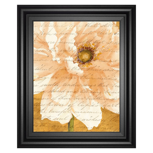 Classy Living Cream Peonies Script Wall Art 22x26in | Traditional Paper on MDF with Glass | Living Room & Bedroom Decor | 22 x 26 x 1 in | Model 8499