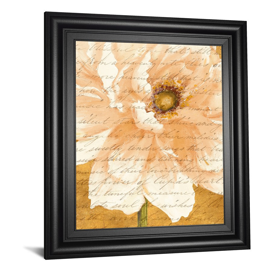 Classy Living Cream Peonies Script Wall Art 22x26in | Traditional Paper on MDF with Glass | Living Room & Bedroom Decor | 22 x 26 x 1 in | Model 8499
