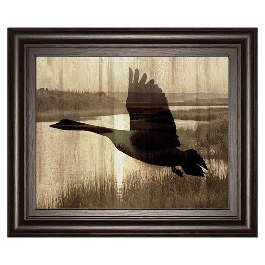 Classy Living Silent Flight 26x22in Wall Art | Contemporary Dark Chocolate MDF Frame | Living Room & Office Nature Decor | 26 x 22 x 1 in | Model 8551