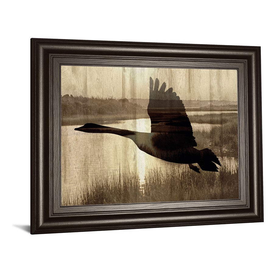 Classy Living Silent Flight 26x22in Wall Art | Contemporary Dark Chocolate MDF Frame | Living Room & Office Nature Decor | 26 x 22 x 1 in | Model 8551
