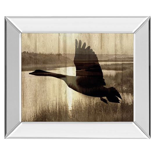 Classy Living Silent Flight 26x22in Wall Art | Contemporary Mirrored Frame | Living Room & Office Decor | 26 x 22 x 3 in | Model 8551MF