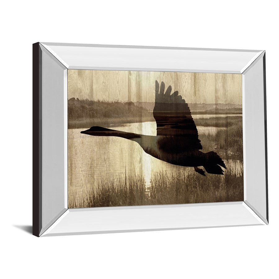 Classy Living Silent Flight 26x22in Wall Art | Contemporary Mirrored Frame | Living Room & Office Decor | 26 x 22 x 3 in | Model 8551MF