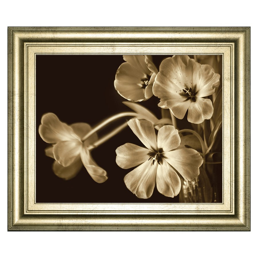 Classy Living Sepia Blooms 26x22 Wall Art | Contemporary Paper Print in Crisp Chardonnay MDF Frame | Living Room & Bedroom Decor | 26 x 22 x | Model 8597