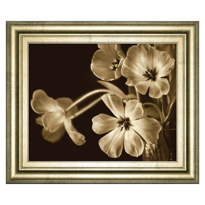 Classy Living Sepia Blooms 26x22 Wall Art | Contemporary Paper Print in Crisp Chardonnay MDF Frame | Living Room & Bedroom Decor | 26 x 22 x | Model 8597