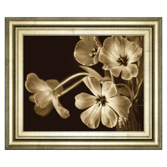 Classy Living Sepia Blooms 26x22 Wall Art | Contemporary Paper Print in Crisp Chardonnay MDF Frame | Living Room & Bedroom Decor | 26 x 22 x | Model 8597