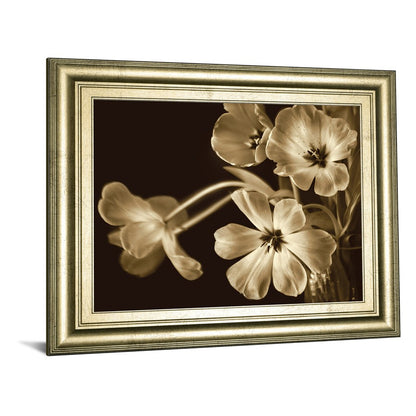 Classy Living Sepia Blooms 26x22 Wall Art | Contemporary Paper Print in Crisp Chardonnay MDF Frame | Living Room & Bedroom Decor | 26 x 22 x | Model 8597