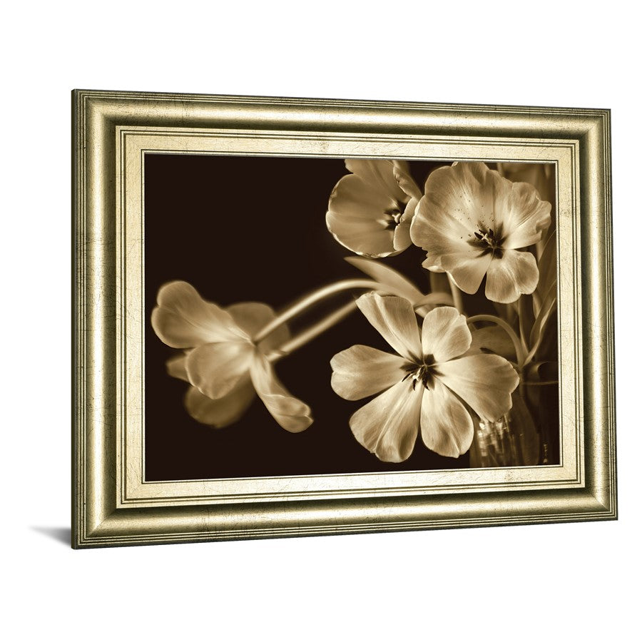 Classy Living Sepia Blooms 26x22 Wall Art | Contemporary Paper Print in Crisp Chardonnay MDF Frame | Living Room & Bedroom Decor | 26 x 22 x | Model 8597