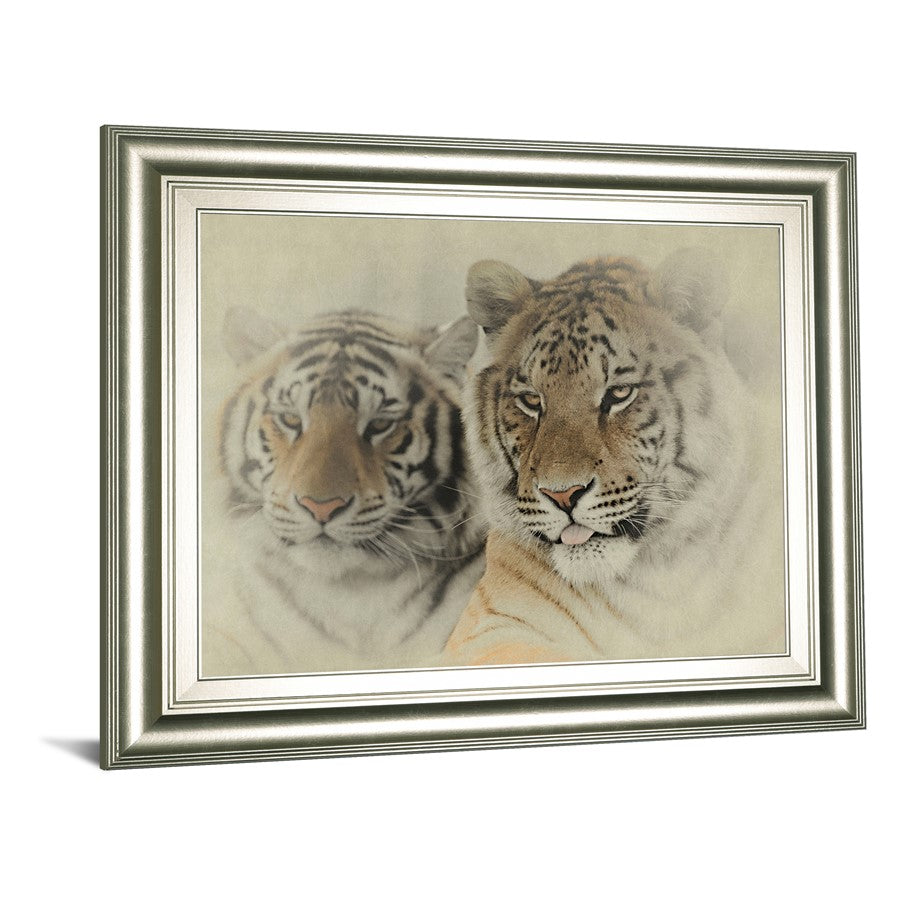 Classy Living Mystic Tigers Wall Art 26x22in | Traditional Graphic Art on Paper in Silver Serenity MDF Frame | Living Room & Office Decor | 1 | Model 8629