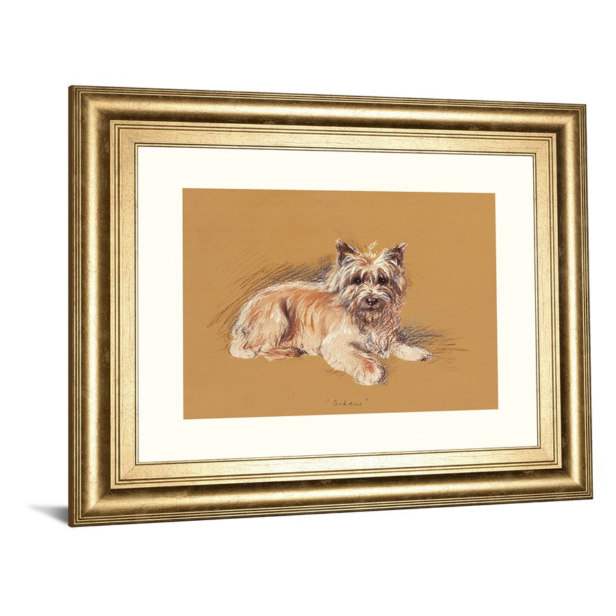 Classy Living Gentle Companion Wall Art 26x22in | Traditional Dog Portrait in Gilded Radiance Frame | Living Room & Office Decor | 1 x 26 x | Model 8636