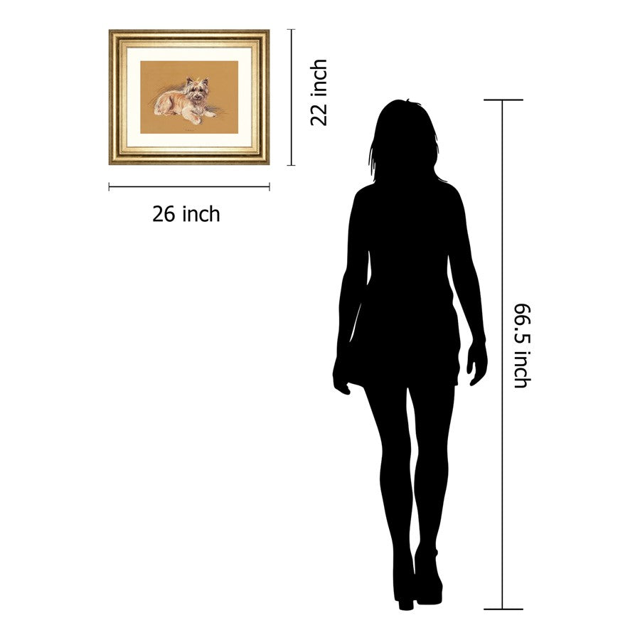 Classy Living Gentle Companion Wall Art 26x22in | Traditional Dog Portrait in Gilded Radiance Frame | Living Room & Office Decor | 1 x 26 x | Model 8636