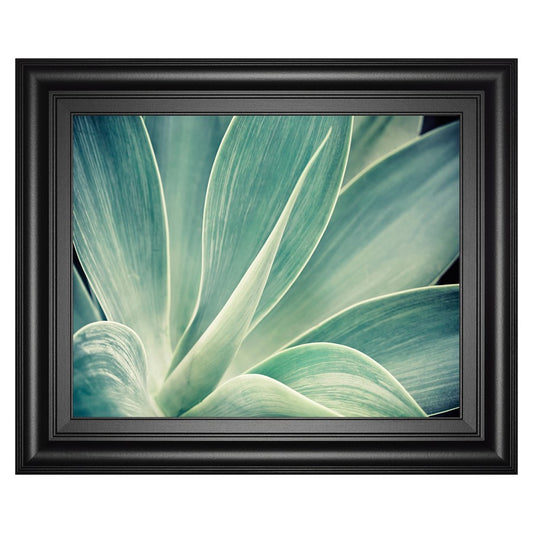 Classy Living Fresnillo Wall Art 26x22in | Contemporary Botanical Print in Midnight Aura MDF Frame | Living Room, Bedroom & Office Decor | 1 | Model 8637