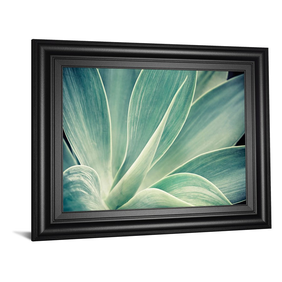 Classy Living Fresnillo Wall Art 26x22in | Contemporary Botanical Print in Midnight Aura MDF Frame | Living Room, Bedroom & Office Decor | 1 | Model 8637