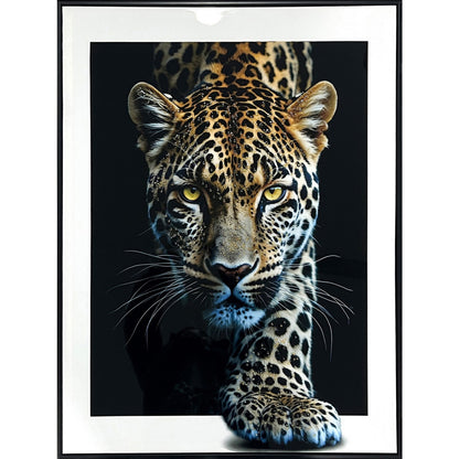 Classy Living Untamed Midnight Stalker II 32"x24", Black/White/Tan/Ivory