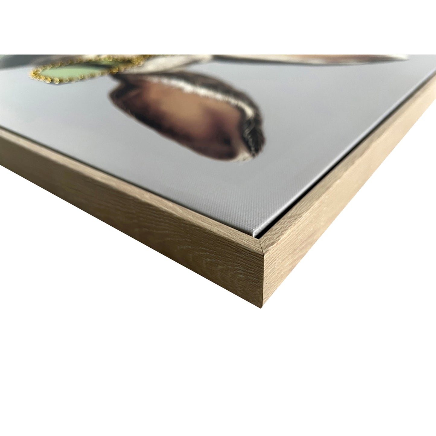 Classy Living Dapper Velvet Hare 24"x16", Gray/Beige/Black/Sage/Gold