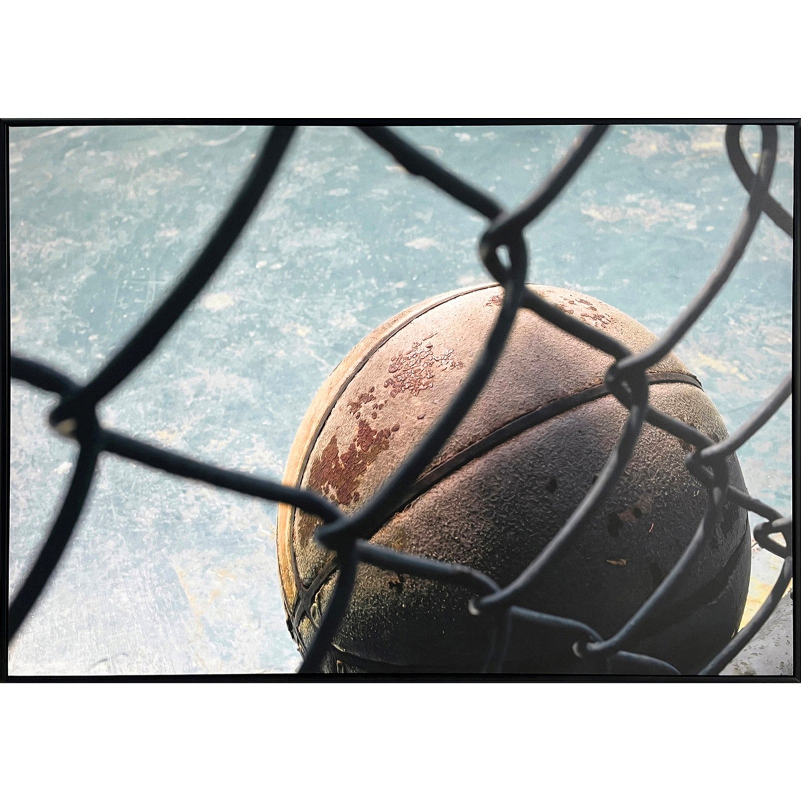 Classy Living Unstoppable Fence Line Court, Black/Blue/Brown/Gray