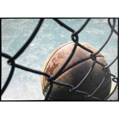 Classy Living Unstoppable Fence Line Court, Black/Blue/Brown/Gray