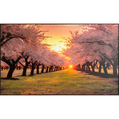 Classy Living Enchanting Blush Orchard 36"x60", Pink/Gold/Brown