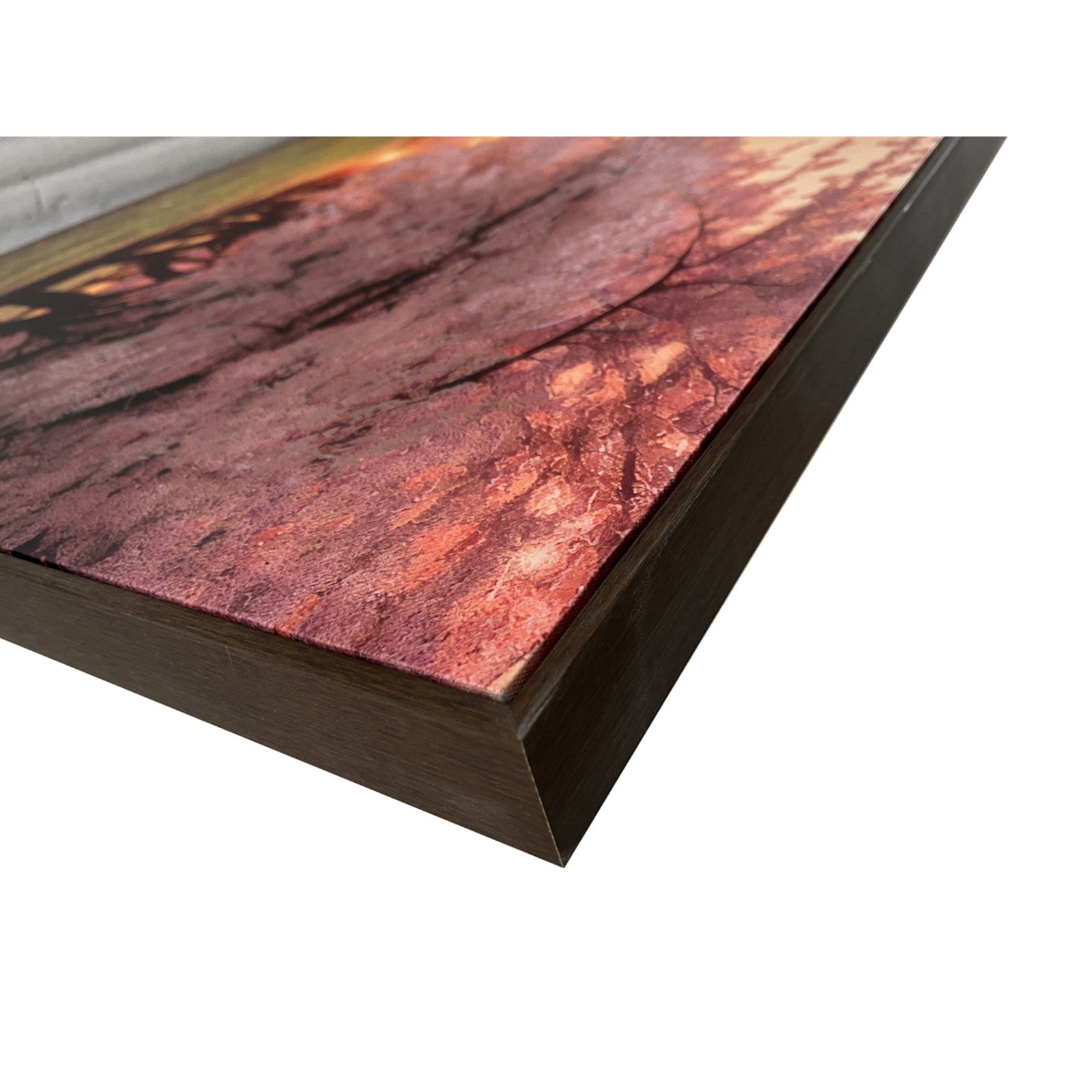 Classy Living Enchanting Blush Orchard 36"x60", Pink/Gold/Brown