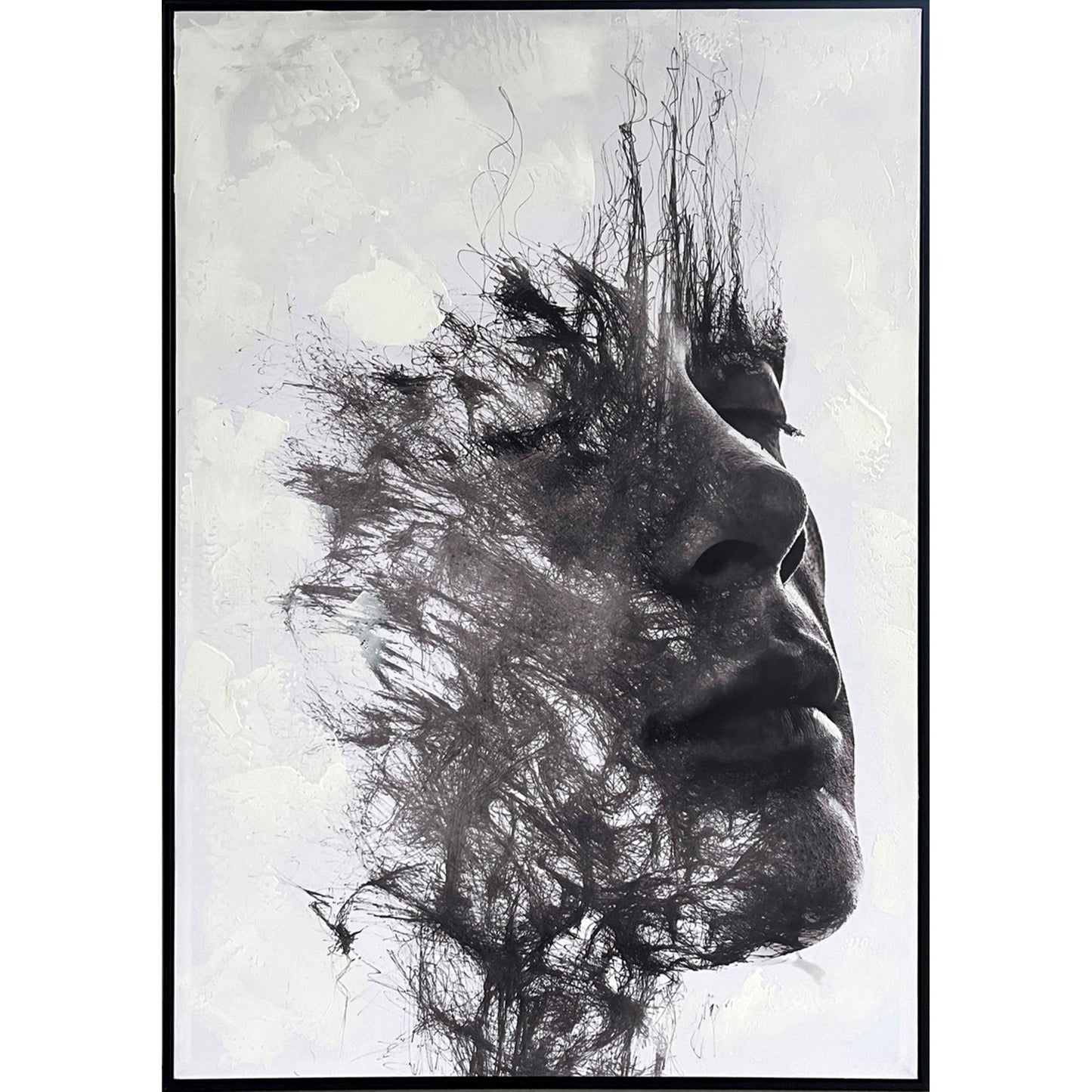 Classy Living Dramatic Veiled Reverie 40"x28", Black/White/Gray